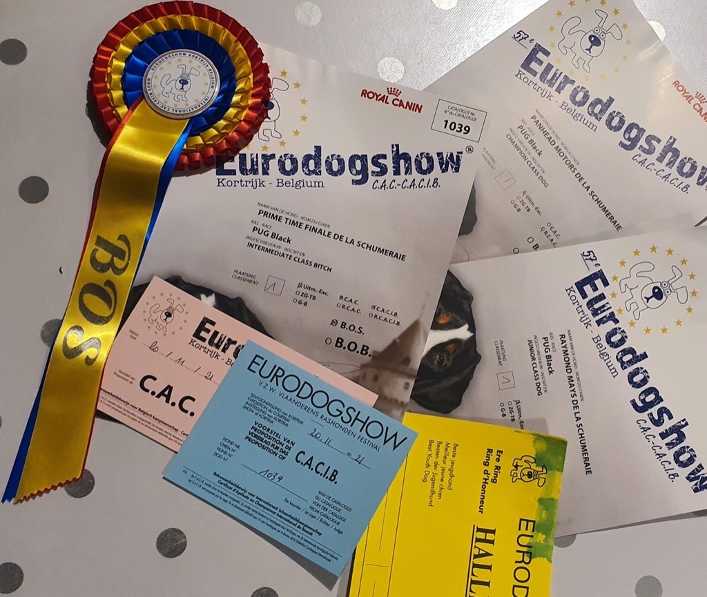 De La Schumeraie - EURODOGSHOW Belgique