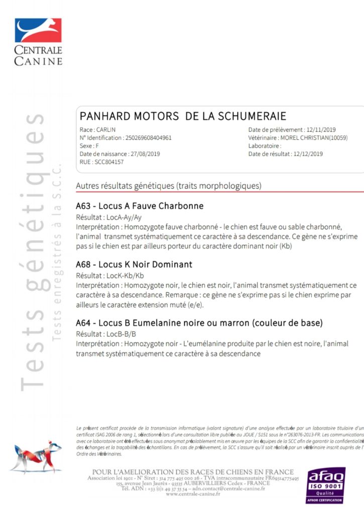 CH. Fr.en.panhard motors (louise) De La Schumeraie